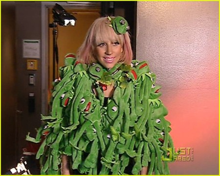 Lady Gaga Kermit Coat. Lady Gaga amp; Kermit
